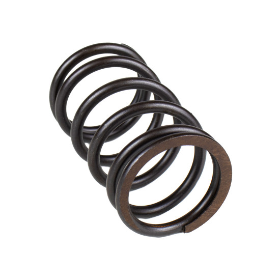 Spring of Rotor Sauer-Danfoss 1743311 SKS