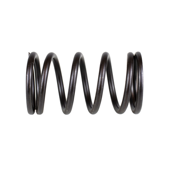 Spring of Rotor Sauer-Danfoss 1743311 SKS