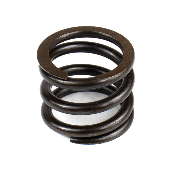 Spring of Rotor Nachi TZ510B2014-00 SKS