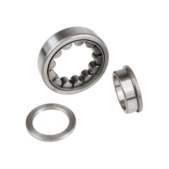 Roller Bearing Kawasaki 1902017503 SKS