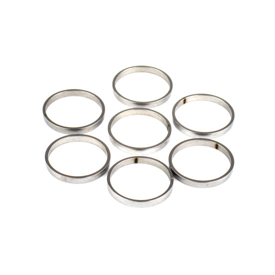Piston Ring Bosch Rexroth A8VO28, A7VO28, A6VM28 SKS