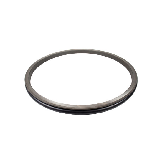 Floating Seal Hitachi 4350347 AFM