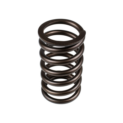 Spring of Rotor Sauer-Danfoss FRR074, FRL074 SKS