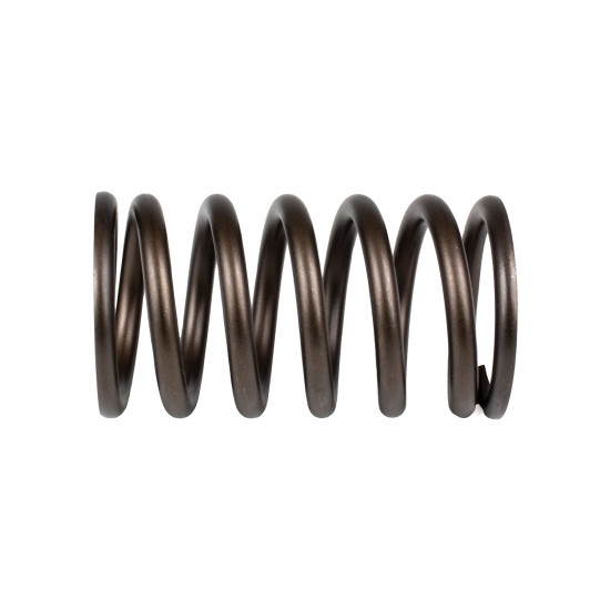 Spring of Rotor Sauer-Danfoss FRR074, FRL074 SKS