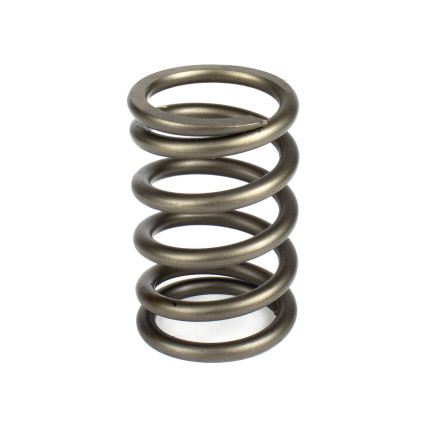 Spring of Rotor Sauer-Danfoss H1P147, H1P165 SKS