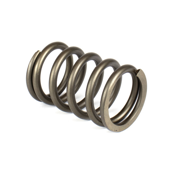Spring of Rotor Sauer-Danfoss H1P147, H1P165 SKS