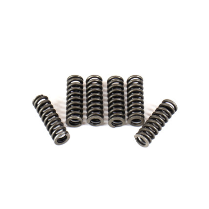 Spring of Rotor Hitachi 4468258 SKS