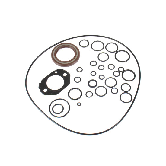 Seal kit pump Bosch Rexroth R910932985 full SKS