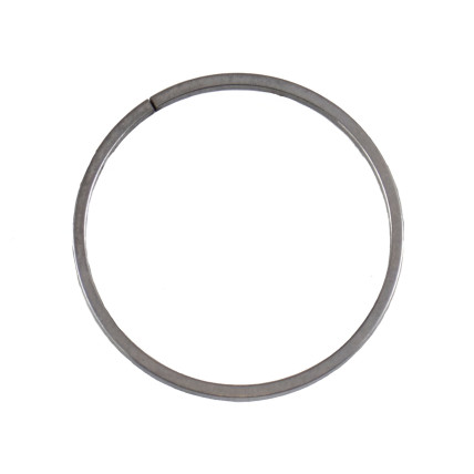Piston Ring Bosch Rexroth R909156962 SKS