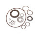 Kit de juntas Bosch Rexroth R902002309 SKS