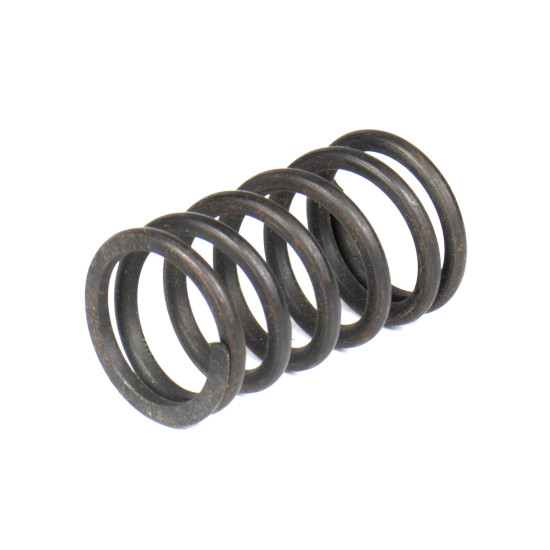 Spring of Rotor Sauer-Danfoss SPV15 SKS
