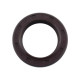 Oil Seal Bosch Rexroth R910793671 SKS