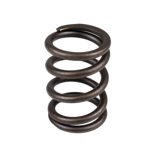 Spring of Rotor Parker P2105 SKS