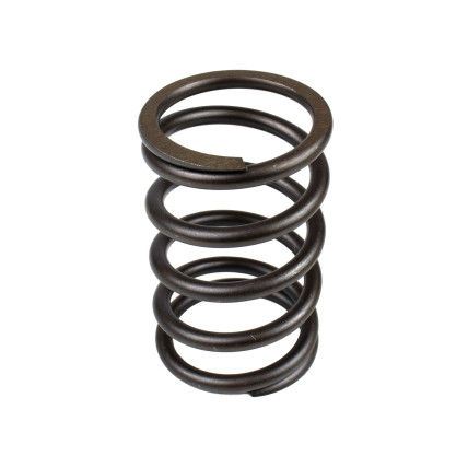 Spring of Rotor Parker 3180121 SKS