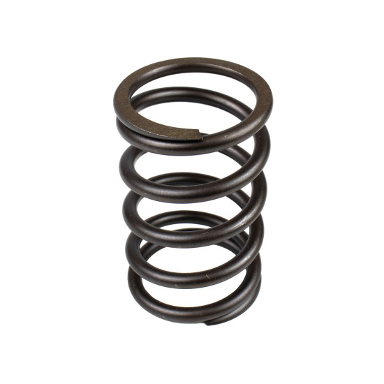 Spring of Rotor Parker 3180121 SKS