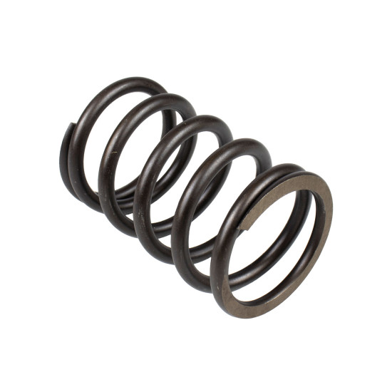 Spring of Rotor Parker 3180121 SKS