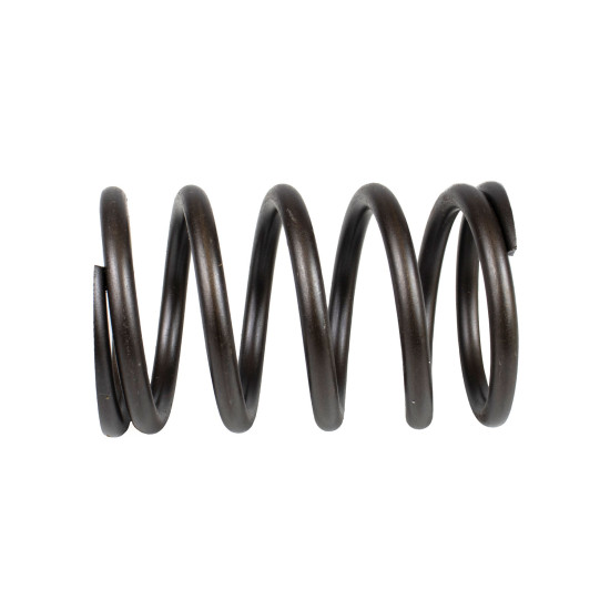 Spring of Rotor Parker 3180121 SKS