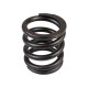 Spring of Rotor Parker P2-145-3001 SKS