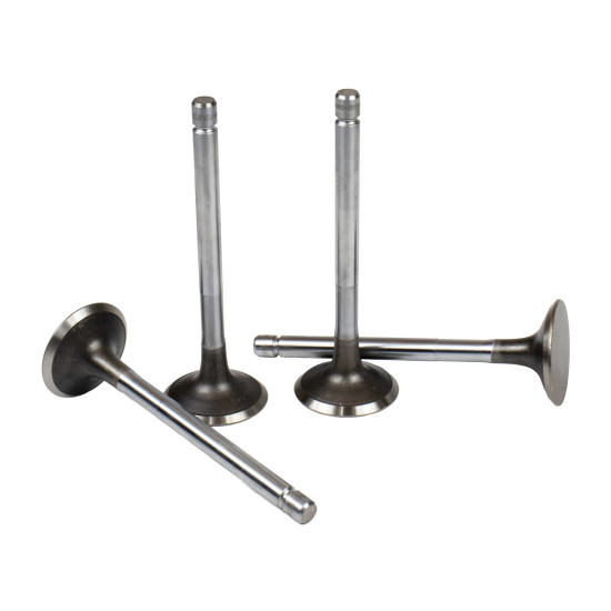 Exhaust Valve Isuzu 8970454102 ISP