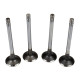 Exhaust Valve Isuzu 8942478751 ISP