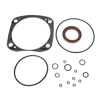 Seal kit pump Oilgear K516175-C11 SKS