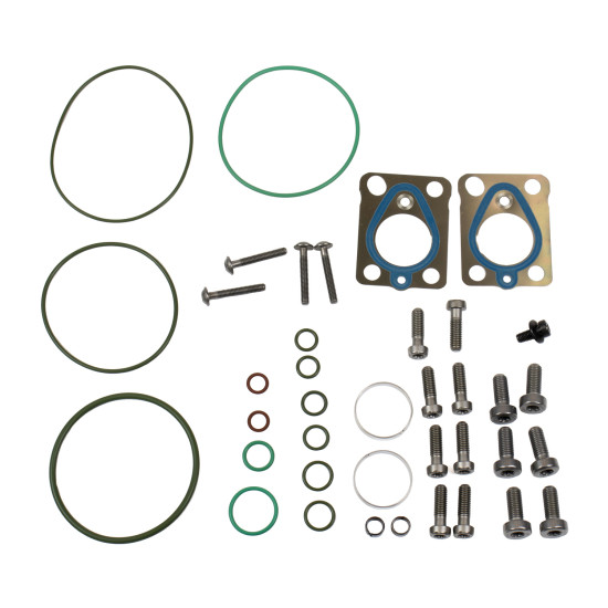 Repair kit of fuel pump 7135-526 Delphi for Delphi 28435244, 28568252, 9422A010A, 9422A011A Genuine