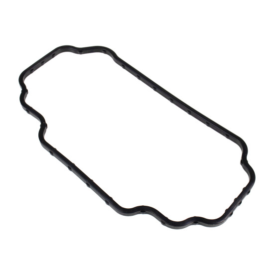 Fuel system Gasket 7189-311 Delphi for Delphi DP210 DP310 Genuine