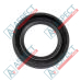 Oil Seal 7190-234 Delphi Genuine - 1