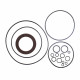 Seal kit motor Doosan TSM32 SKS