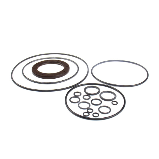 Seal kit motor Doosan TSM32 SKS