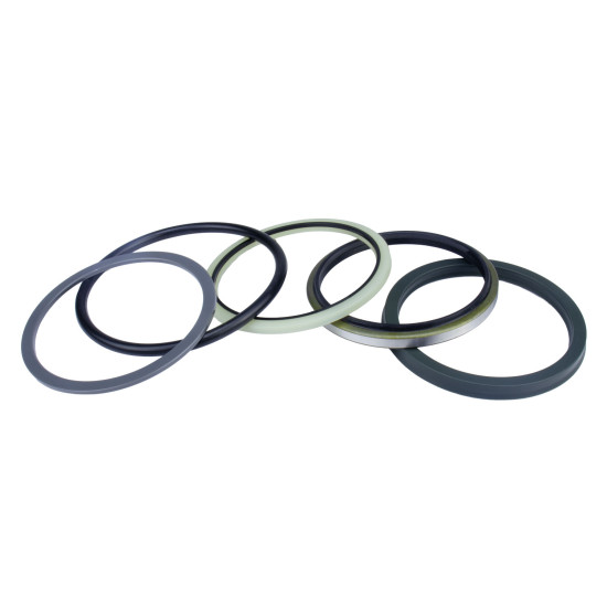 Kit de reparare a cilindrilor hidraulici Hitachi 4654422 AFM