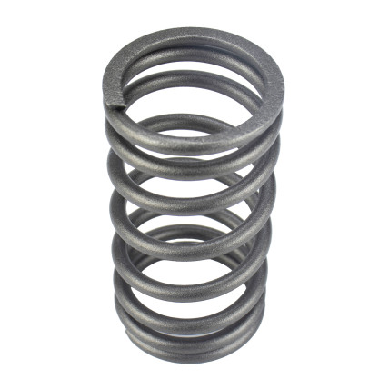Valve Spring Isuzu 1125610991 Genuine