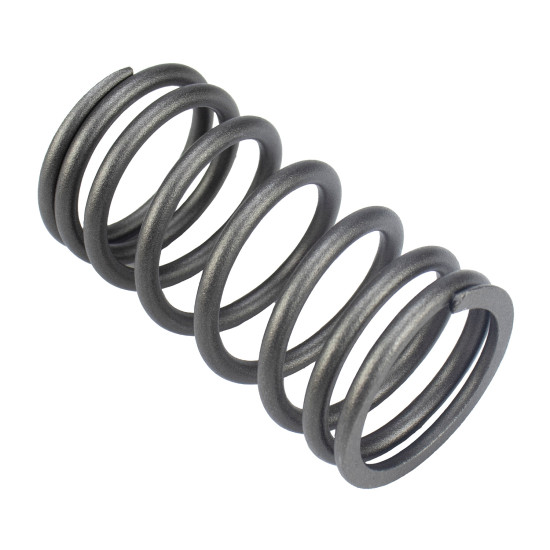 Valve Spring Isuzu 1125610991 Genuine