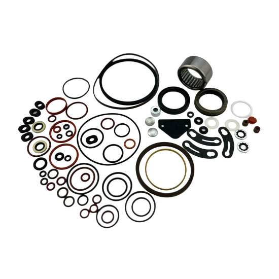 Repair kit 33702 STANADYNE