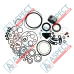 Kit de reparación 33702 STANADYNE - 1