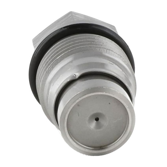 Pressure Relief Valve 1110010012 Bosch Genuine
