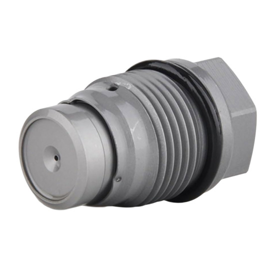 Pressure Relief Valve 1110010013 Bosch Genuine