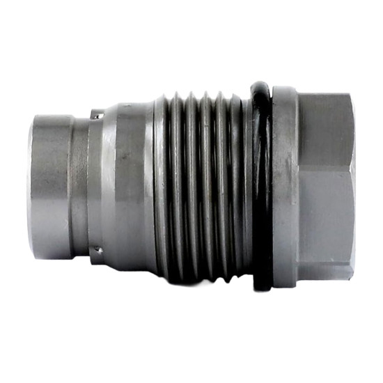 Pressure Relief Valve 1110010018 Bosch Genuine
