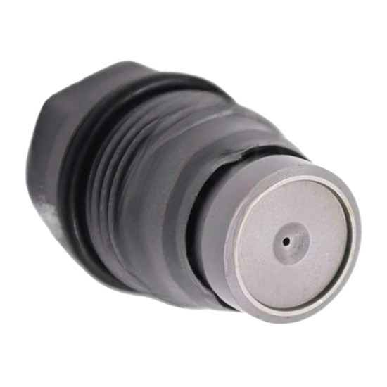 Pressure Relief Valve 1110010019 Bosch Renault Genuine