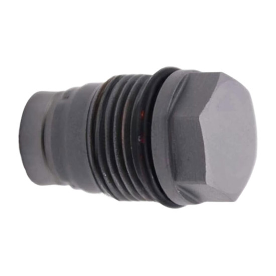Pressure Relief Valve 1110010019 Bosch Renault Genuine