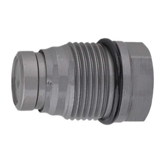 Pressure Relief Valve 1110010022 Bosch Genuine