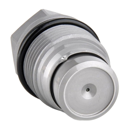 Pressure Relief Valve 1110010024 Bosch MAN Genuine