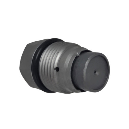 Pressure Relief Valve 1110010028 Bosch Genuine
