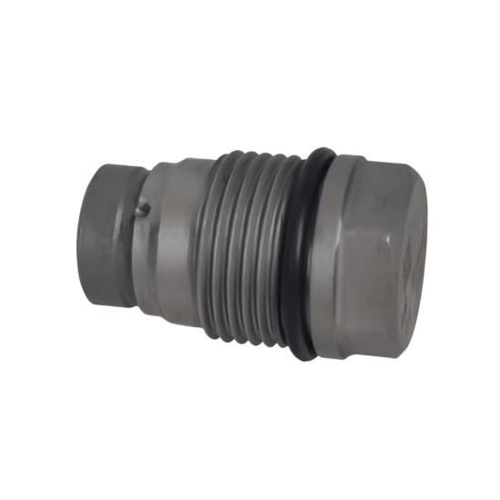 Pressure Relief Valve 1110010028 Bosch Genuine