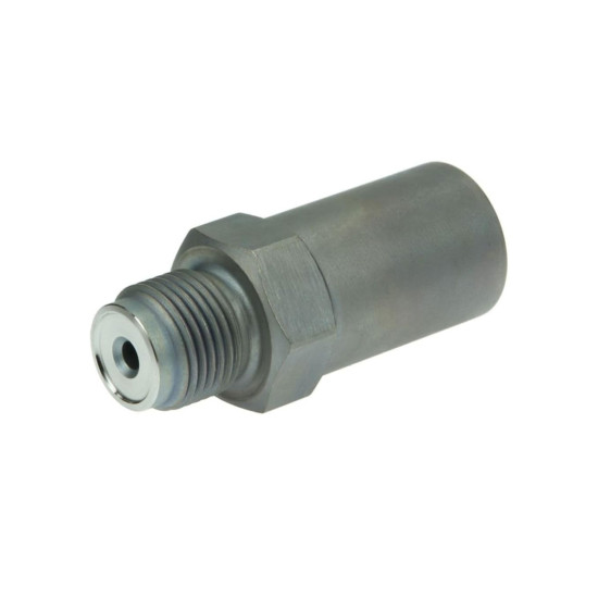 Pressure Relief Valve 1110010030 Bosch Genuine