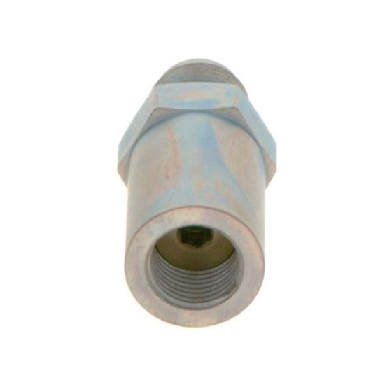 Pressure Relief Valve 1110010030 Bosch Genuine