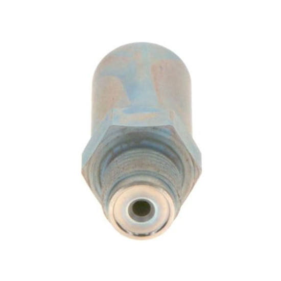 Pressure Relief Valve 1110010030 Bosch Genuine
