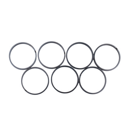 Piston Ring Bosch Rexroth R910921092 SKS