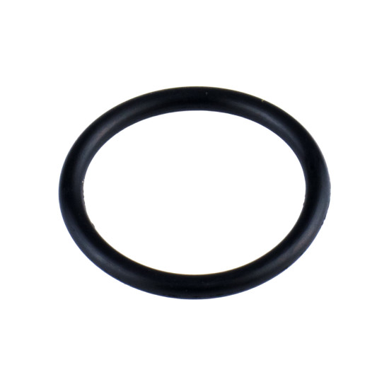 Fuel system Gasket 5855-30GH Delphi Genuine