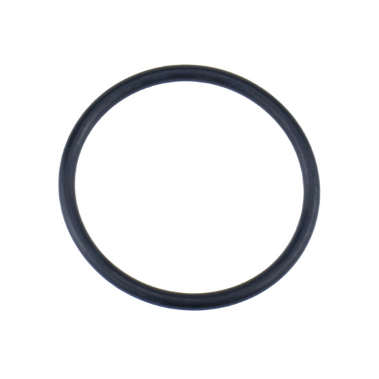 Fuel system Gasket 7185-950HN Delphi Genuine
